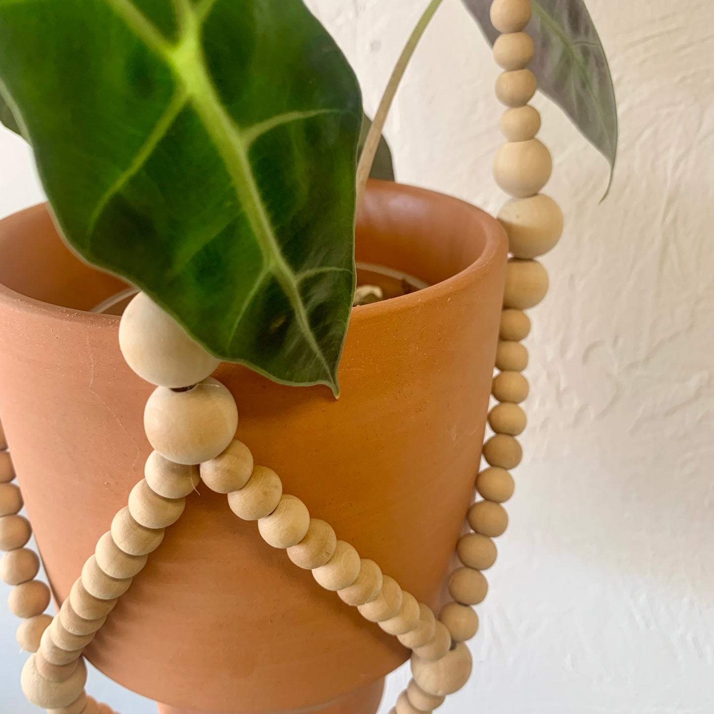 Natural Wood Bead Plant Hanger